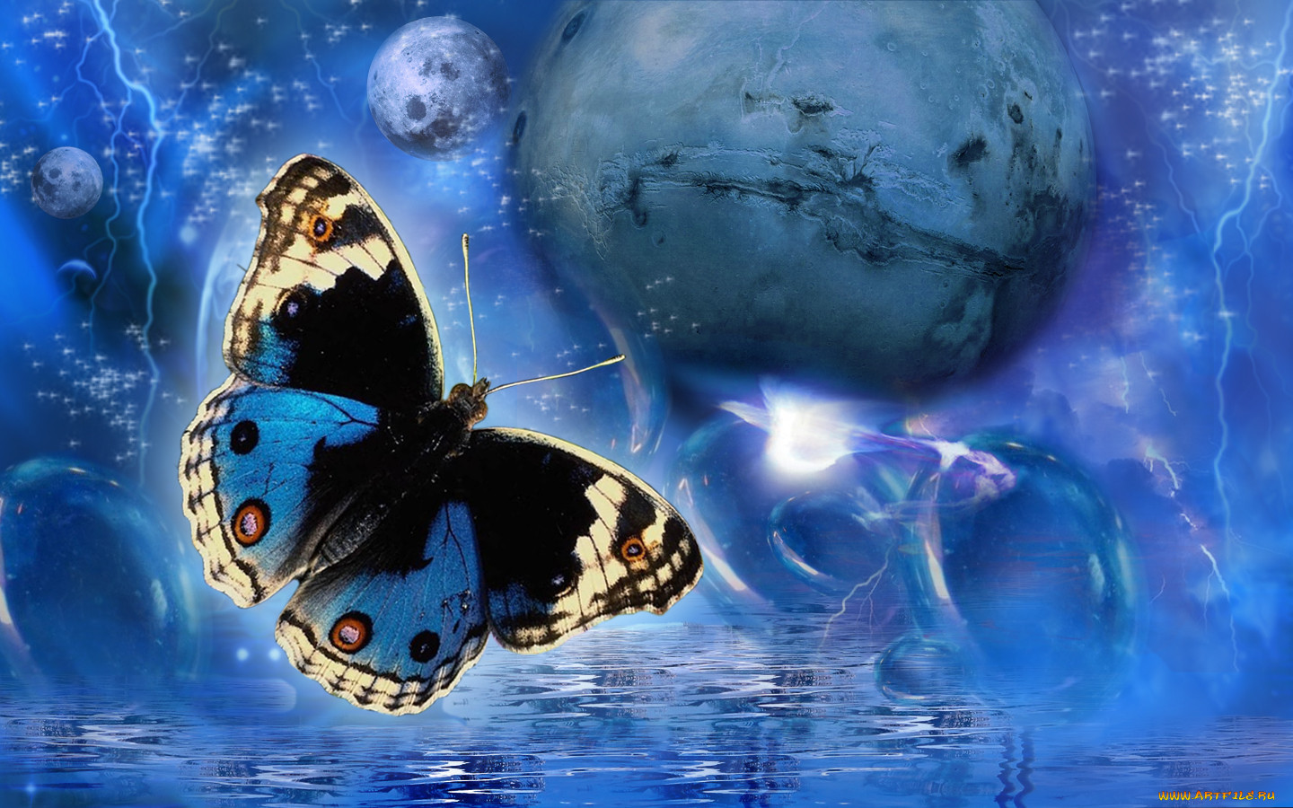 3, , animals, 